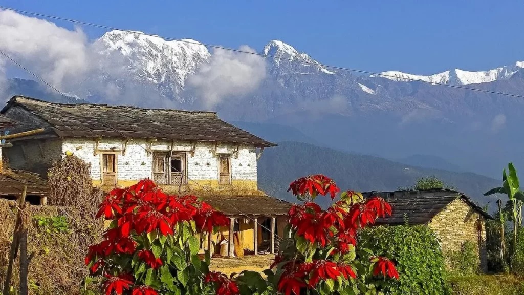 Annapurna base camp trek village with red flowers and Himalayan mountain backdrop on the approach route